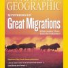 National Geographic Magazine February 2007 - June 2012 (You Pick!) - Image 41
