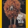National Geographic Magazine February 2007 - June 2012 (You Pick!) - Image 32