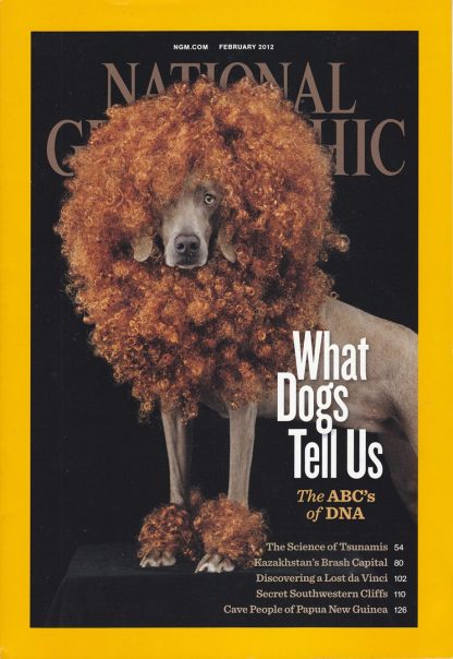 National Geographic Magazine February 2007 - June 2012 (You Pick!) - Image 32
