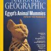 National Geographic Magazine February 2007 - June 2012 (You Pick!) - Image 19