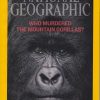 National Geographic Magazine February 2007 - June 2012 (You Pick!) - Image 11