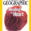 National Geographic Magazine February 2007 - June 2012 (You Pick!) - Image 6