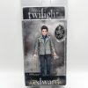 Edward Cullen Twilight Collectible Doll Figure With Crest (2008) Vampire