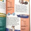 The Official Pokemon Handbook #3 Scholastic ISBN 0-439-317-47-9 - Image 6